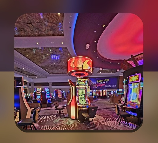 آشنایی کامل با انواع پوکر: چه نوع پوکری برای شما مناسب است؟